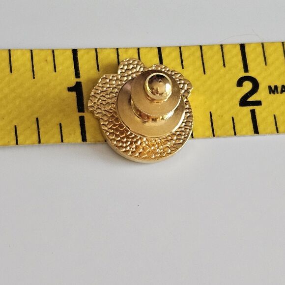 National Rural Electric Cooperative Association NRECA 10 Year Service Award Pin - Picture 5 of 9